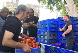Kuyruk Metrelerce Uzadı: Halde Satılamayan 4 Ton Domates Meydanda Bedava Dağıtıldı!