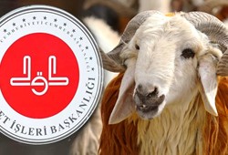 Diyanet Vekaletle Kurban Kesim Bedeli Kaç TL? 2026 Yılı Kurban Bağış Fiyatlarında Son Durum!