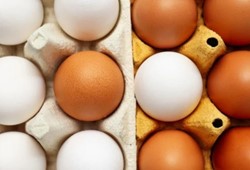 yillardir-yanlis-biliniyordu-bilim-insanlari-saglikli-yumurtayi-acikladi.jpg
