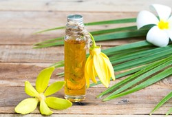 ylang-ylang-yagi-nedir-ylang-ylang-yagi-faydalari-nelerdir-ve-nasil-kullanilir-2025.jpg