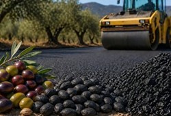 Yol yapımında artık zeytin kullanılacak: Zeytin çekirdeğinden asfalt üretimi başladı