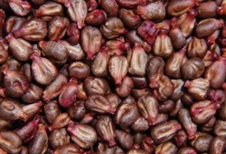 Fırıncılıkta devrim: Yumurta yerine geçecek yeni ürün