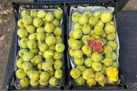 110 bin lira maaş verilecek: Bu işi yapacak çalışanlar aranıyor