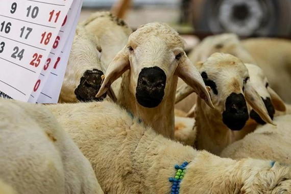 2027 Kurban Bayramı Ne Zaman? 2027 Dini Günler ve Tatil Takvimi!