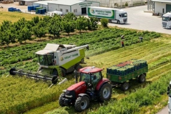 Tarım sektöründe deprem: 75 milyon TL’lik şirket battı