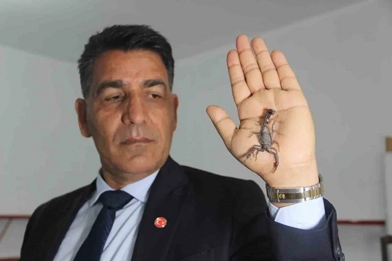 akrep-mi-altin-mi-grami-10-bin-dolar-turkiyede-uretiliyor.jpg