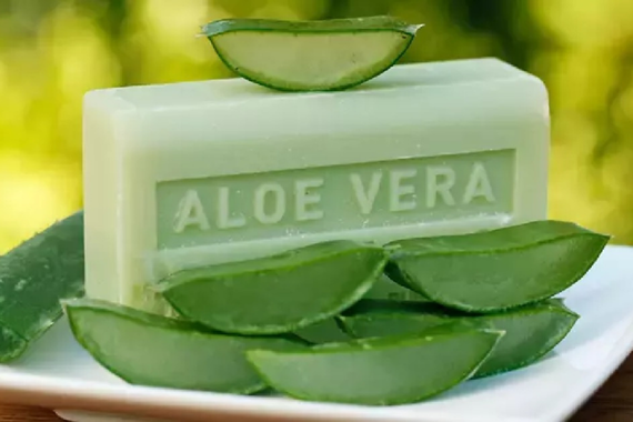 aloe-vera-sabununun-faydalari-nelerdir-2025.png