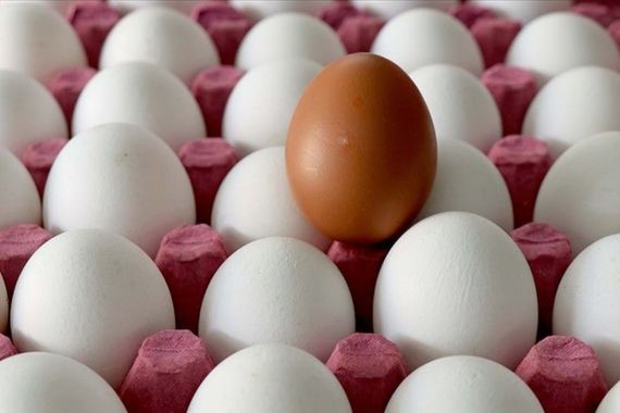 Avrupa’da yumurtalar böyle saklanıyor: Nedeni belli oldu