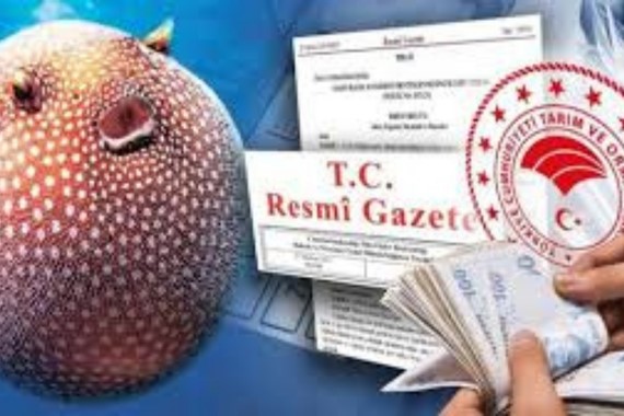 bakanliktan-sasirtan-balik-uyarisi-servet-kazananlar-var-herkes-onun-pesinde.jpg
