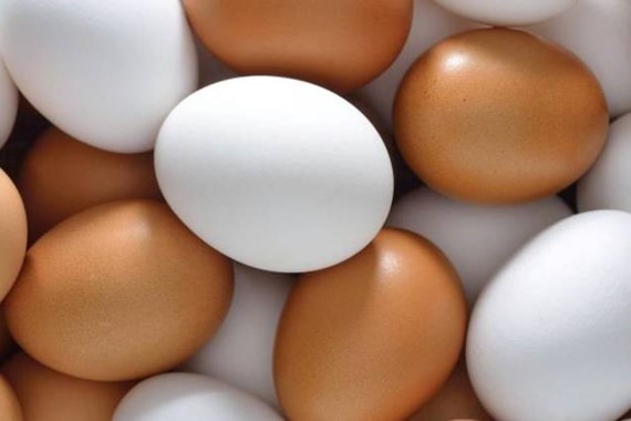 Bazı yumurtalar neden beyaz, bazıları kahverengi? Yumurta renginin nedeni ne?