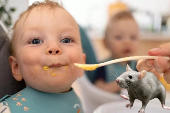 Bebek mamasında büyük panik: Fare zehri tespit edildi