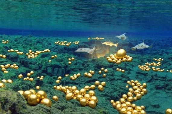 Bilim insanları deniz dibinde dev yumurtalar buldu