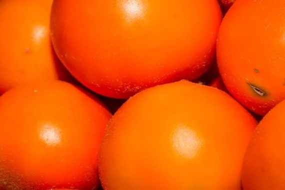 Bu meyveyi yurt dışına götürmek yasak