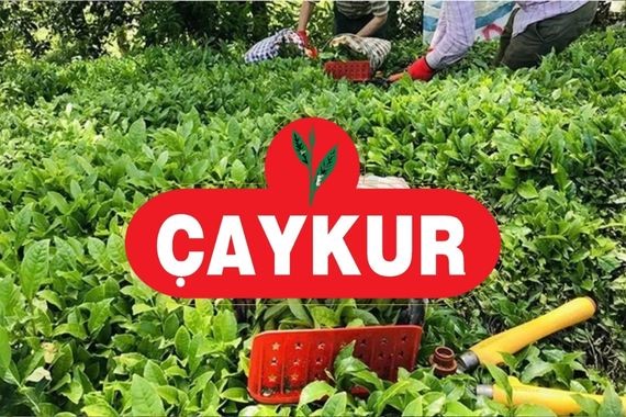 ÇAYKUR'da Kadro Heyecanı! 150 İşçi Alımı İçin Şartlar Belli Oldu