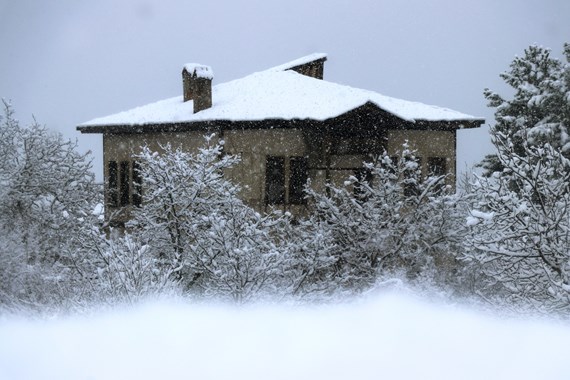dogu-anadolu-kara-gomuldu.jpg