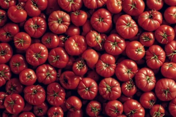 Dünyanın en iyi domatesleri belli oldu! Türkiye’den o ilçe listeye damga vurdu