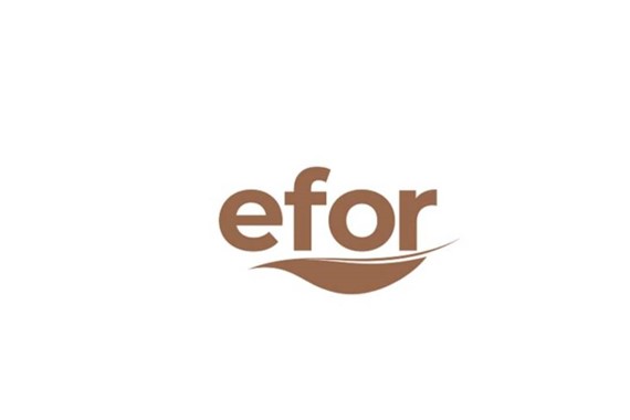 Efor Yatırım’ın BIST 50 Yolculuğu 1 Temmuz’da Başlıyor