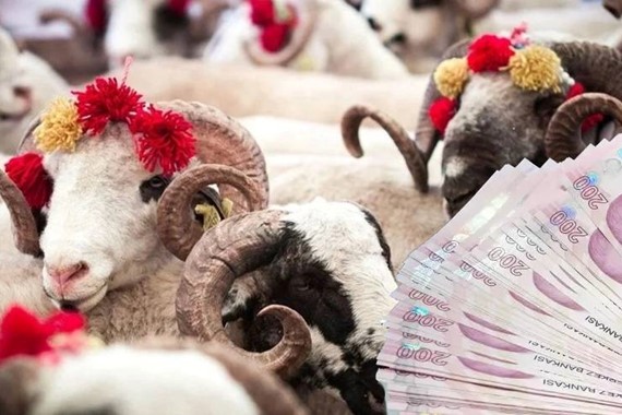 Kurban Bayramı İkramiyeleri Ne Zaman Yatacak? 2026 Ödeme Takvimi Netleşiyor!