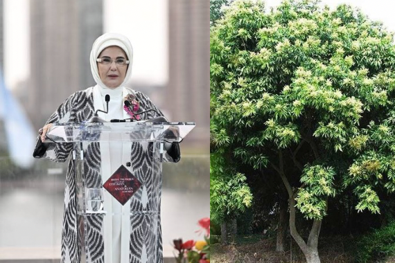 emine-erdoganin-talimatiyla-hindistandan-turkiyeye-getirildi-meyve-vermesi-tam-5-yil-surdu.png