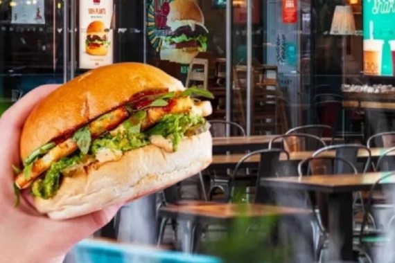 Fare istilası restoran zincirini vurdu: Fareler bastı, şubeler kapandı