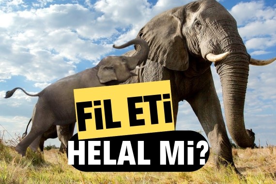 fil-eti-helal-mi-fil-eti-yemek-caiz-mi.jpg
