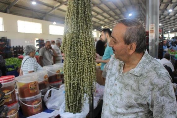 Gramla satılıyor: Kurusunun kilosu 3 bin TL’ye çıktı