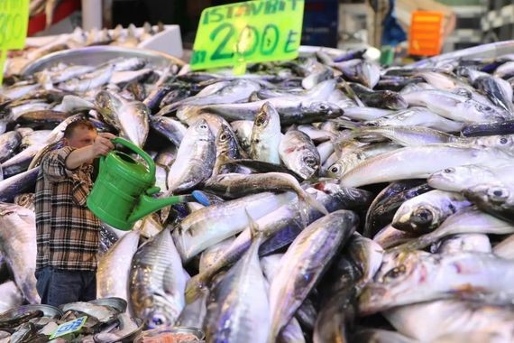 Hamsi sezonu kapandı, yeni gözde tezgahta: Kilosu 200 TL'den yok satıyor!