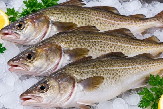 Herkes bunu merak ediyordu: Protein rekortmeni balıklar tek tek açıklandı