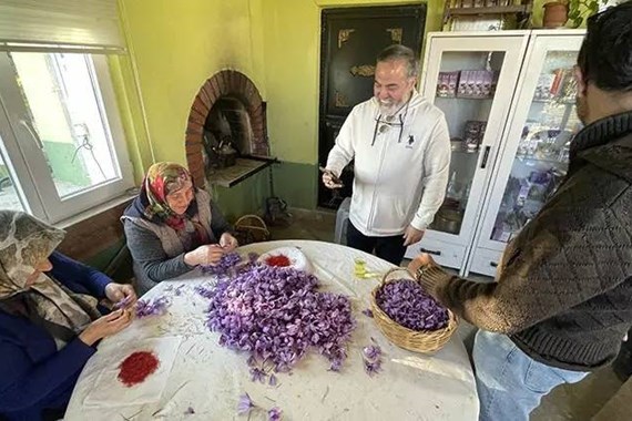hasadi-basladi-kilosu-450-bin-lira.jpg