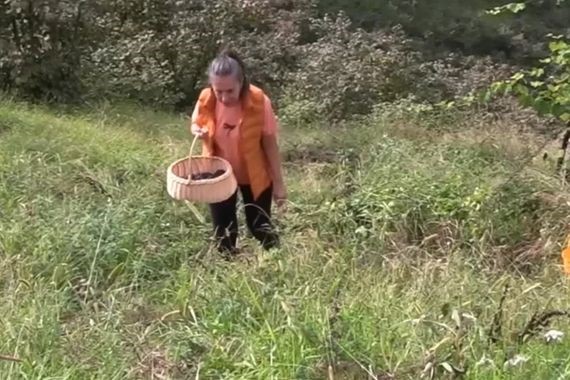 10 yıldır kullanılmıyordu: Devlet desteğiyle dikti, şimdi 1 ton ürün bekliyor