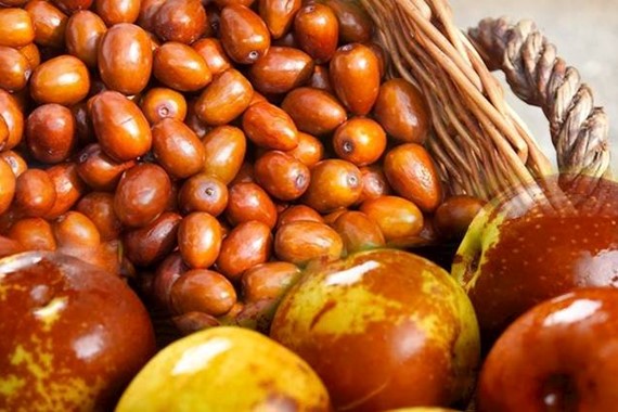Hünnap nasıl yenir? Hünnap meyvesi nasıl tüketilir, kabuğu soyulur mu?