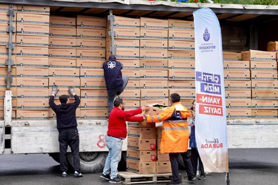 İBB 2026 Yazlık Fide Dağıtımı Başladı: Çiftçiye Ücretsiz Destek!