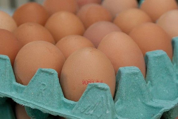 Yumurtada Herkesi Korkutan Karar! İhracat Kotası 5 Kat Artınca Gözler Oraya Çevrildi