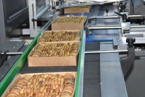 İhracattan dönen ürünler için yeni dönem başladı