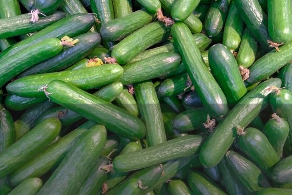 iki-zincir-marketin-urunu-ifsa-oldu-salatalikta-yasakli-madde-cikti.jpg