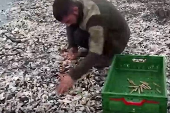 Japonlar Peşindeydi Türkiye’de Sahile Vurdu! Kilosu Servet Değerinde...