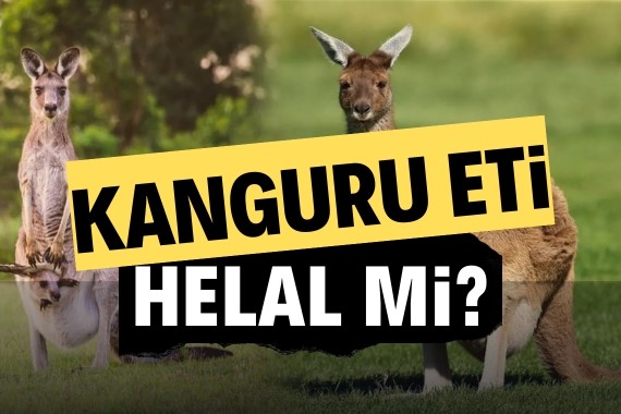 kanguru-eti-helal-mi-kanguru-eti-yemek-caiz-mi.jpg