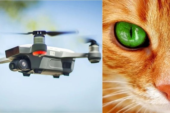 kedilerin-gozunden-ilham-alan-teknoloji-ihalara-geliyor.jpg