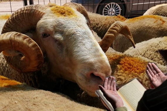 Kurban Bayramı Arefe'sinde Oruç Tutulur Mu? Diyanet'e Göre Arefe Orucu Fazileti