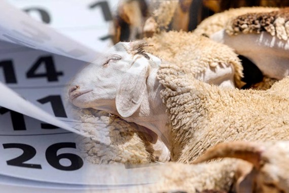 Kurban Bayramı ne zaman başlıyor? Kurban Bayramına kaç gün kaldı 2026?