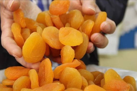 kuru-kayisi-satisina-dur-denildi-yasak-resmen-basladi.jpg