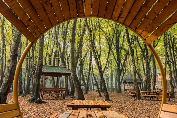 İstanbul'da Mangal Yakmak Yasak mı 2026? Valilikten Flaş Orman ve Mesire Alanı Kararı!