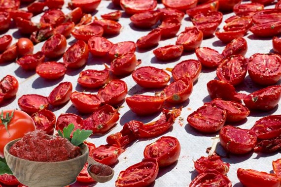 Meyve Sebze Mamulleri İhracatında Aslan Payı Ege Bölgesi’nin