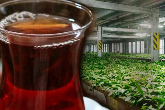 Bakanlık Tek Tek İfşa Etti: 4 Ünlü Çay Markasında Boya Tespit Edildi! Sakın Tüketmeyin...
