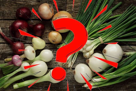 Ne beyaz ne kırmızı! Uzmanlara göre en sağlıklı soğan türü şaşırttı