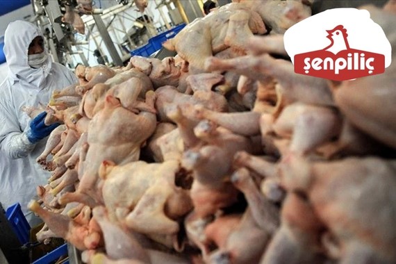 olumcul-bakteri-bulunmustu-senpilicten-tuhaf-aciklama.jpg