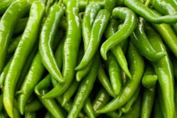 Reçeteli tarım zehri Avrupa'ya giden biberde çıktı!