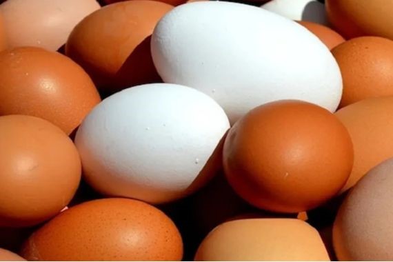 Salgın hızla yayıldı: 1,5 milyon koli yumurta toplatıldı