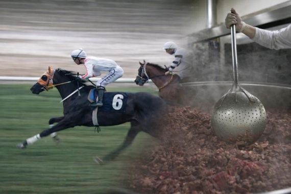 Aşevinde kavurma yapılan yarış atı milyonluk ikramiye kazandırmış