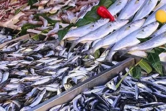 Severek tüketilen balıkta tehlikeli madde tespit edildi